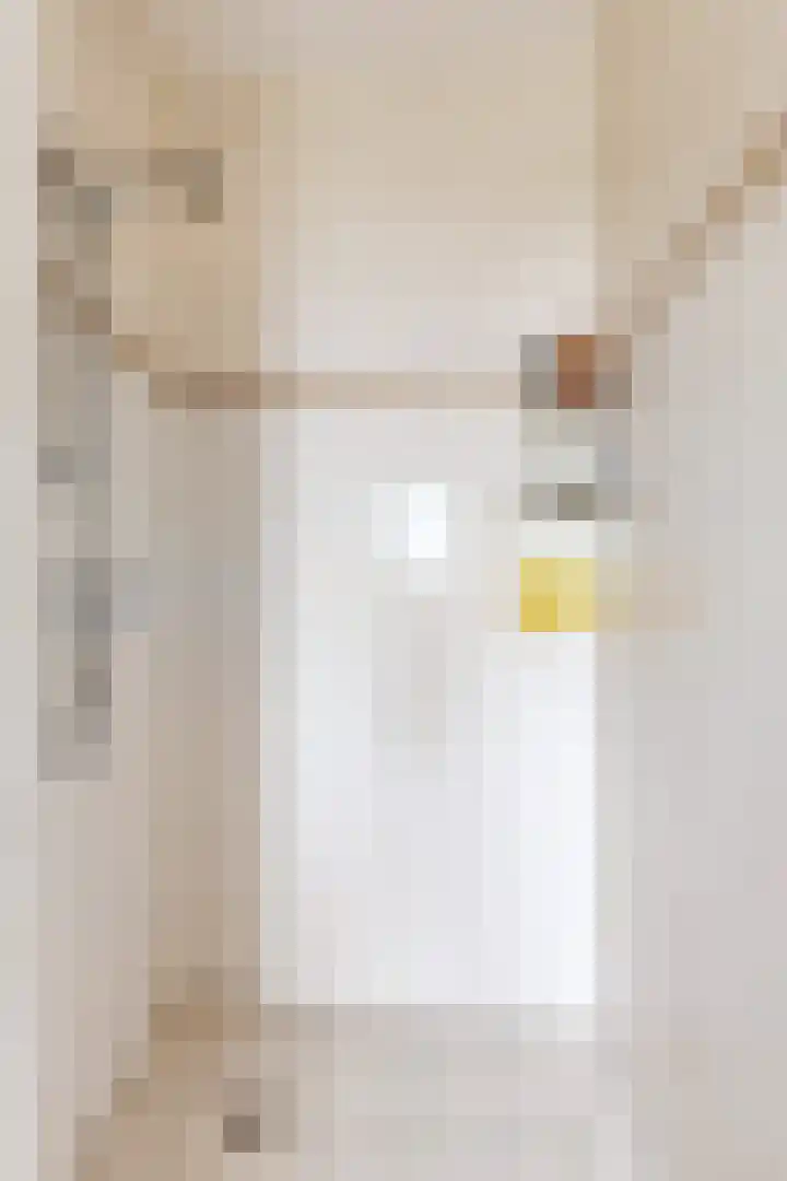 IJshof 12 Zevenbergen thumbnail 38