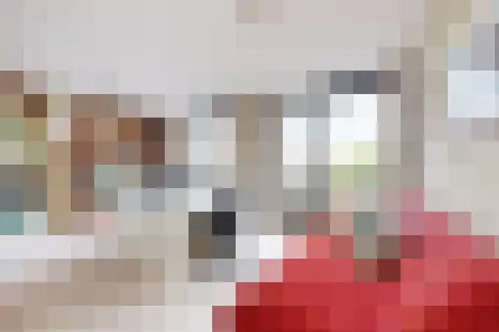 IJshof 12 Zevenbergen thumbnail 4