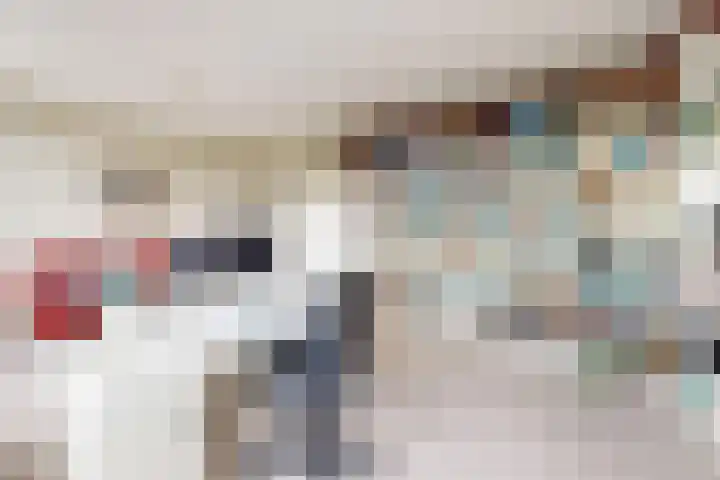 IJshof 12 Zevenbergen thumbnail 40