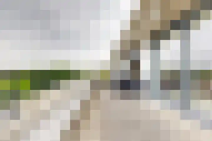 IJshof 12 Zevenbergen thumbnail 42