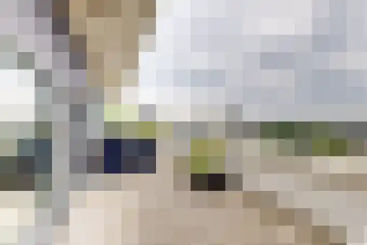 IJshof 12 Zevenbergen thumbnail 43