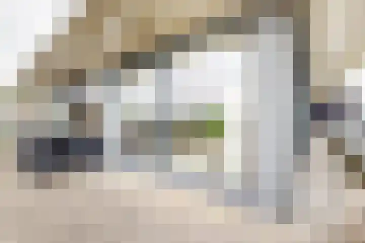 IJshof 12 Zevenbergen thumbnail 45