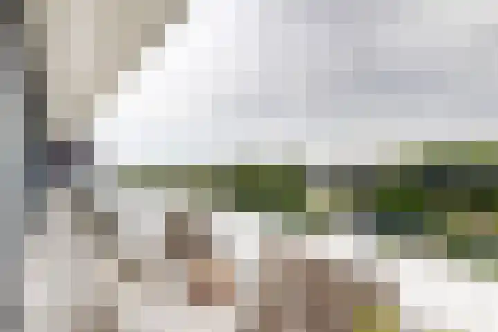 IJshof 12 Zevenbergen thumbnail 46