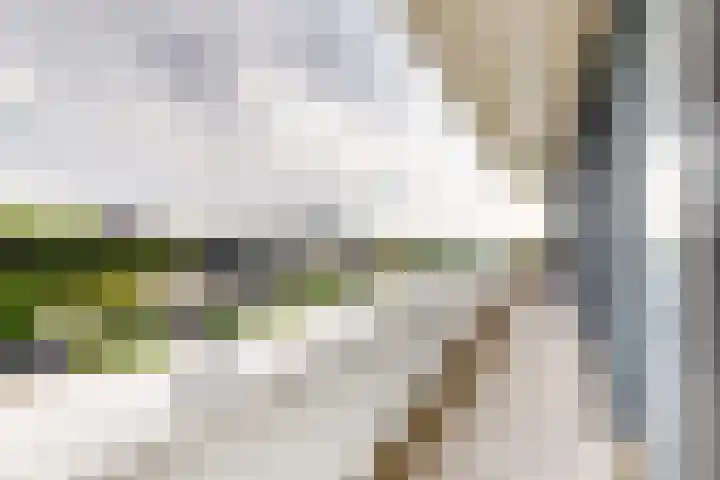 IJshof 12 Zevenbergen thumbnail 47