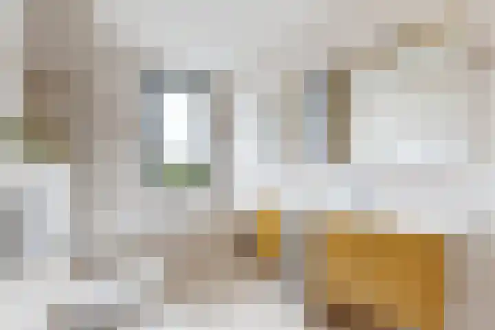 IJshof 12 Zevenbergen thumbnail 5