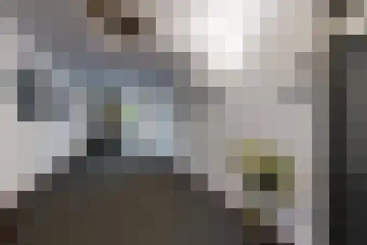 IJshof 12 Zevenbergen thumbnail 50
