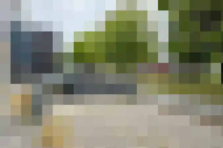IJshof 12 Zevenbergen thumbnail 51