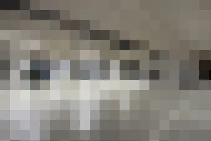 IJshof 12 Zevenbergen thumbnail 52