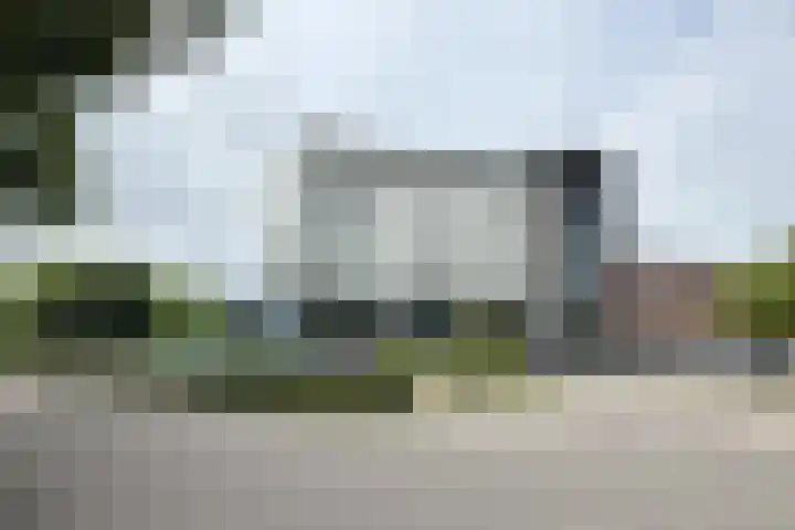 IJshof 12 Zevenbergen thumbnail 54