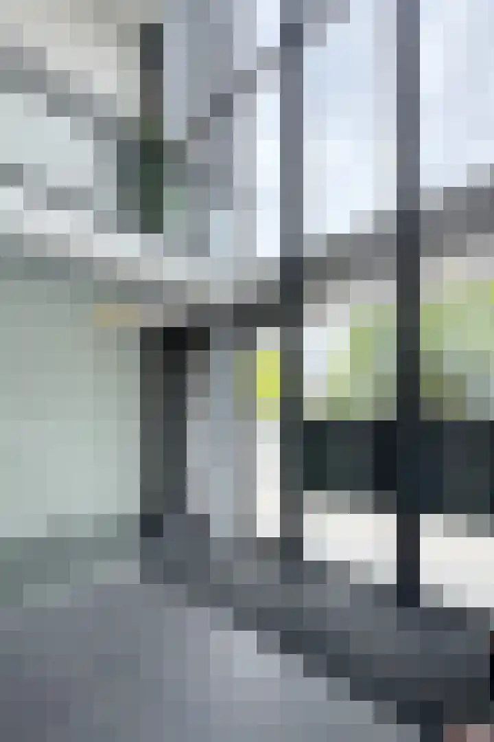 IJshof 12 Zevenbergen thumbnail 7