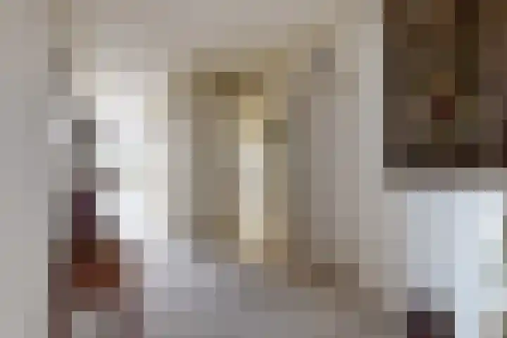 IJshof 12 Zevenbergen thumbnail 8