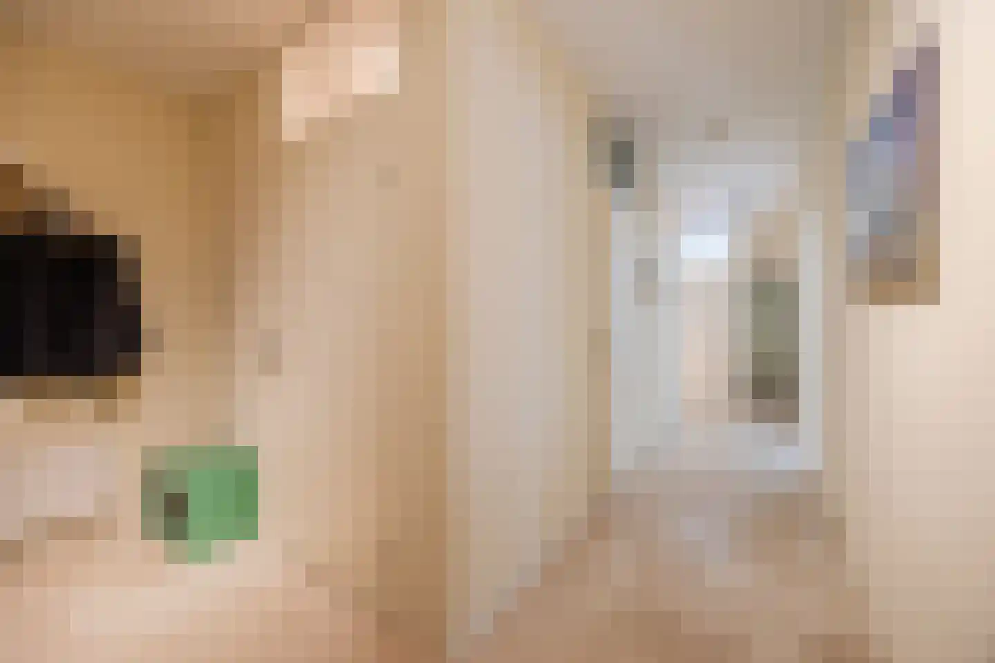 IJshof 6 Zevenbergen thumbnail 15
