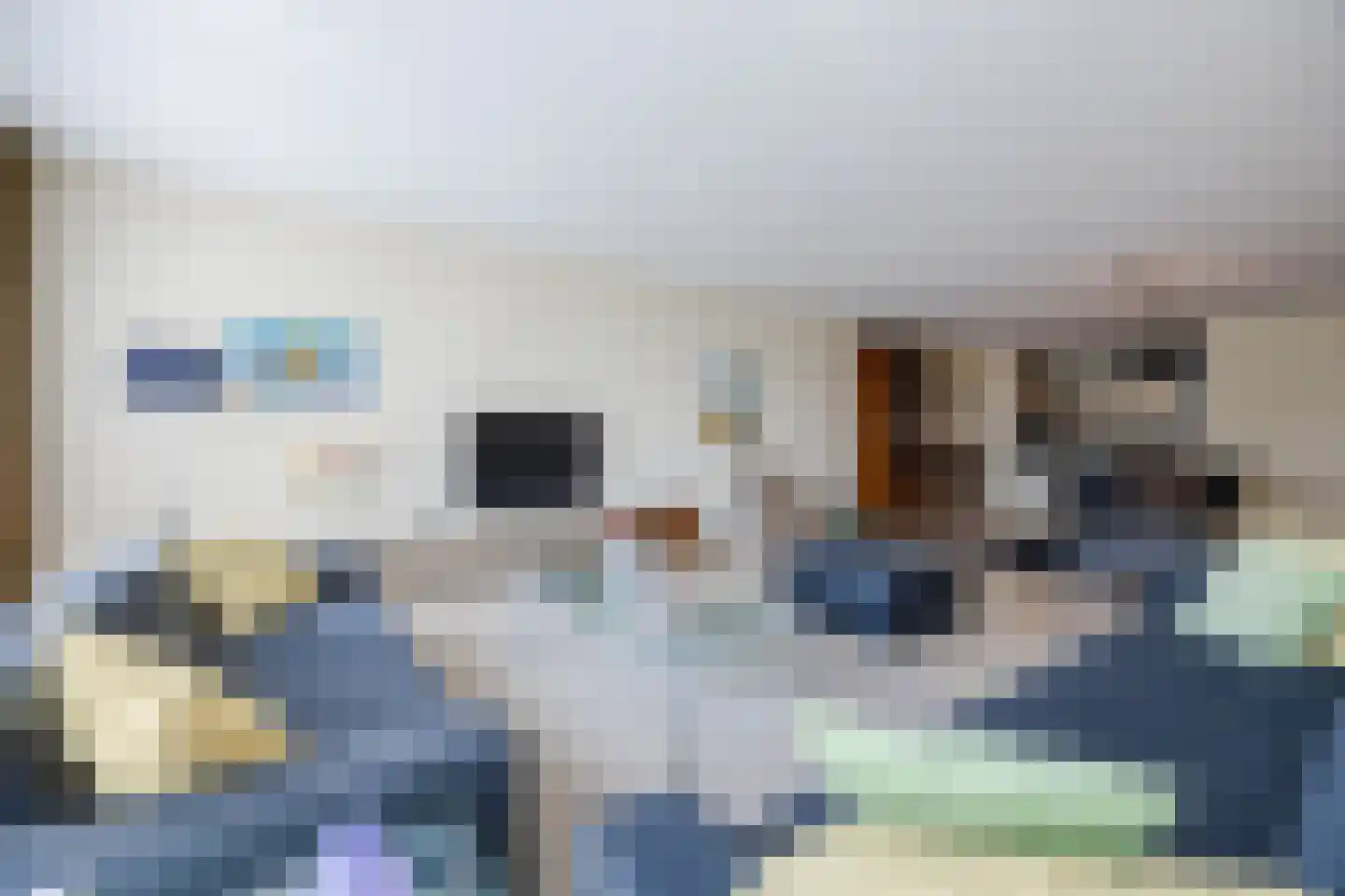 IJshof 6 Zevenbergen thumbnail 20