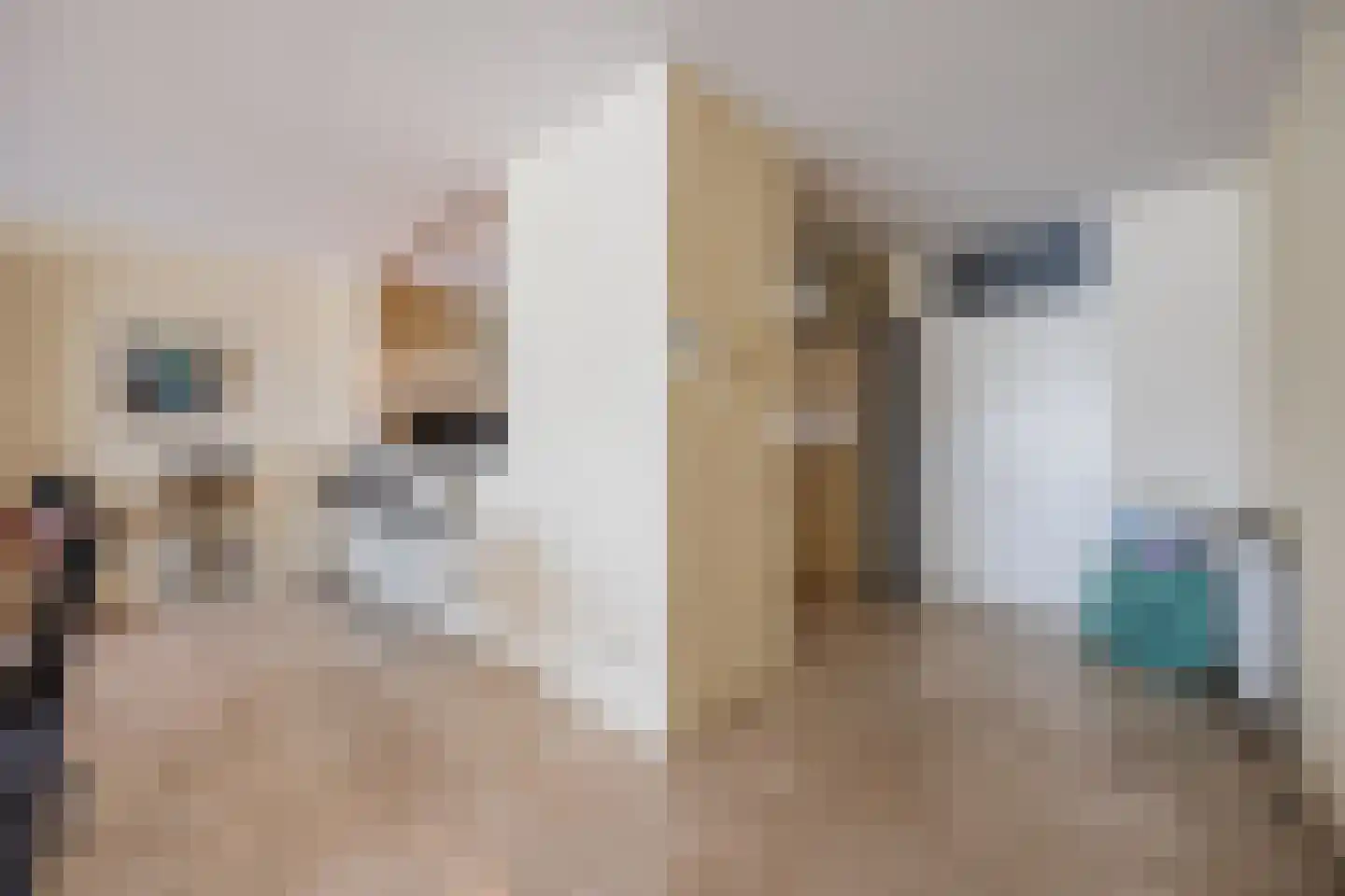 IJshof 6 Zevenbergen thumbnail 28