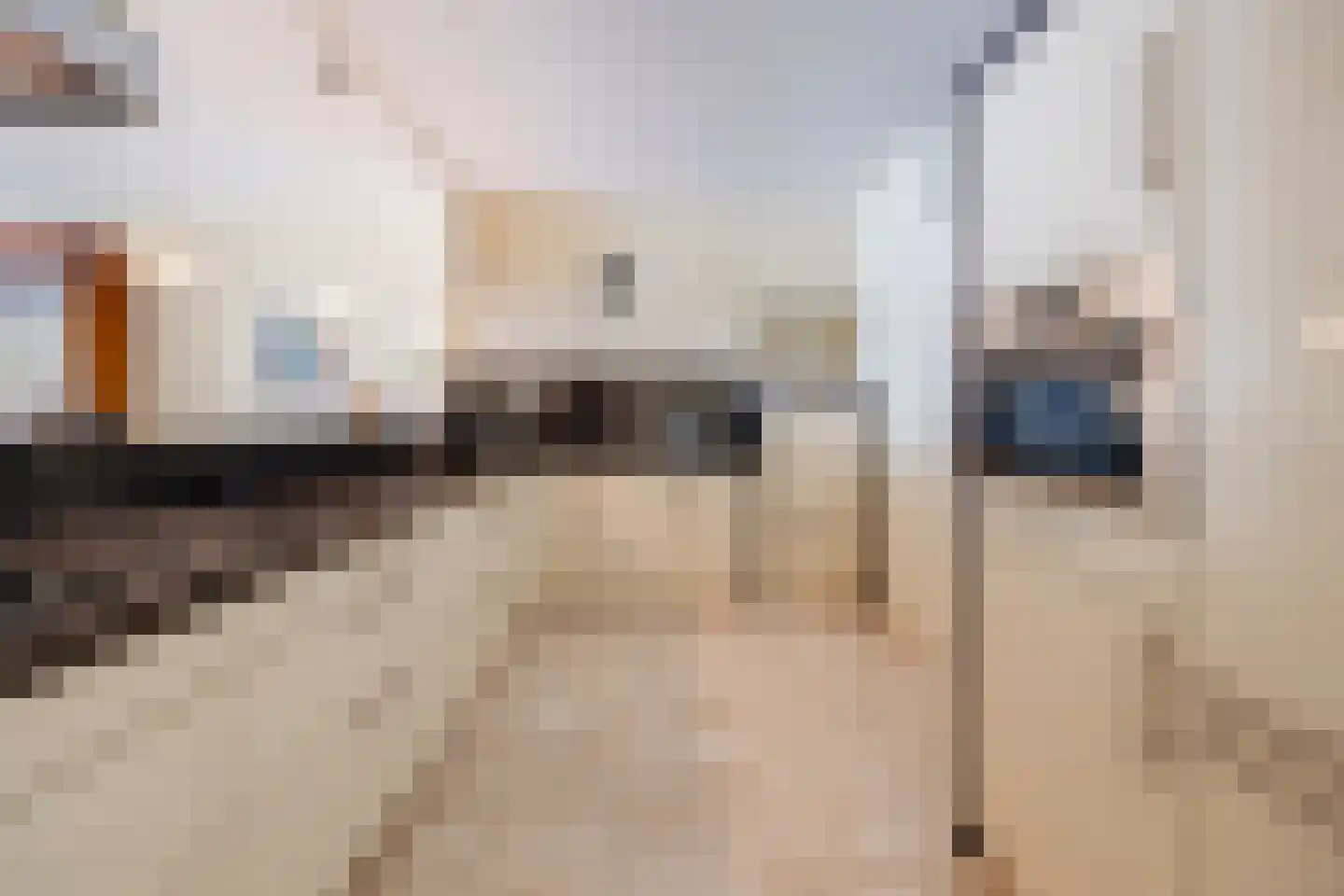 IJshof 6 Zevenbergen thumbnail 29