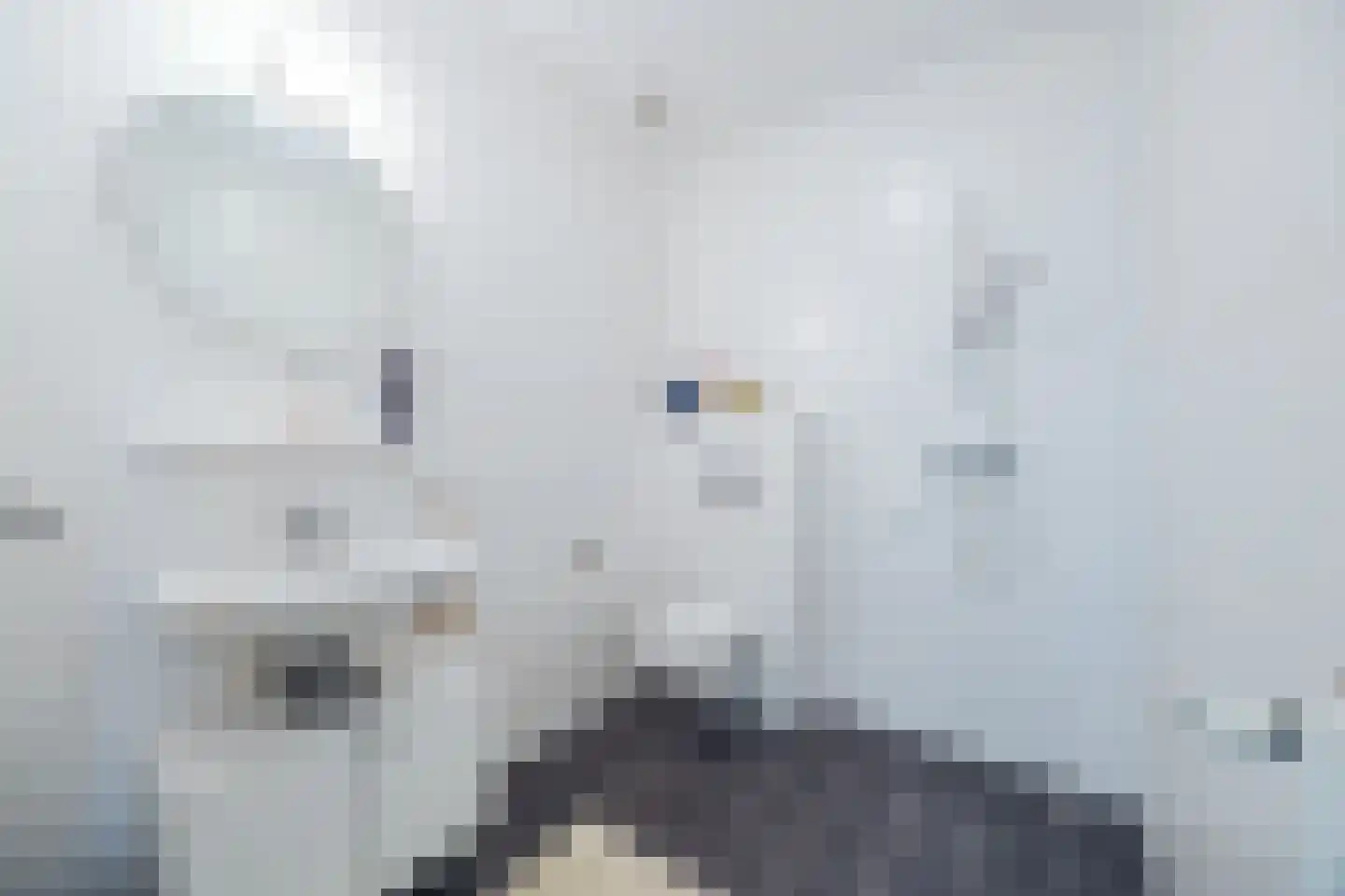 IJshof 6 Zevenbergen thumbnail 32