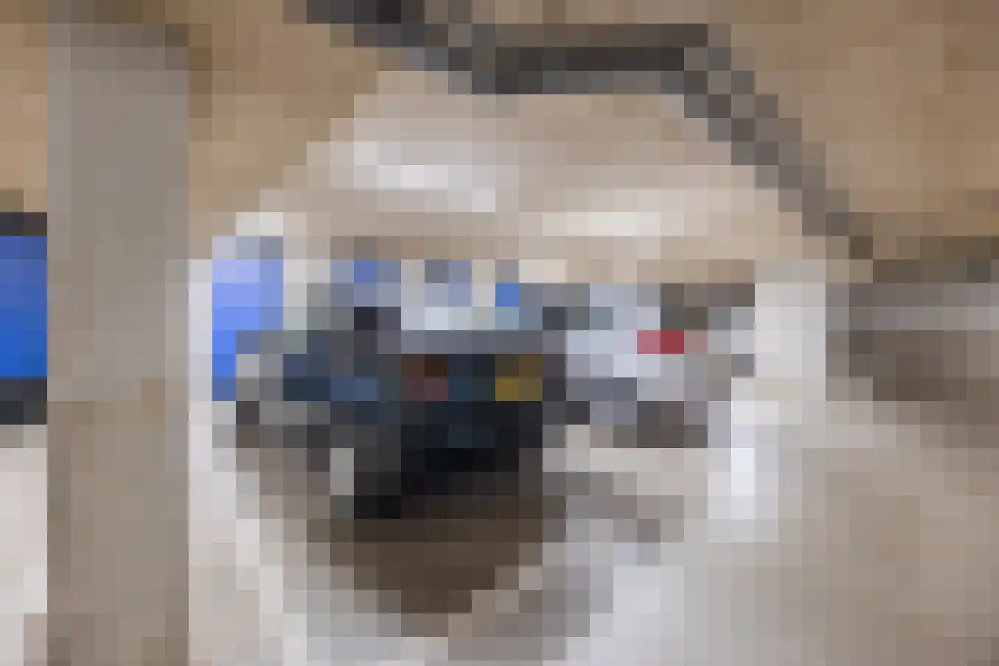 IJshof 6 Zevenbergen thumbnail 42