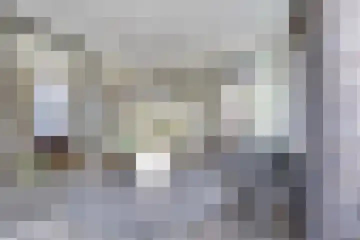 IJskelderlaan 6 c Doorn thumbnail 18