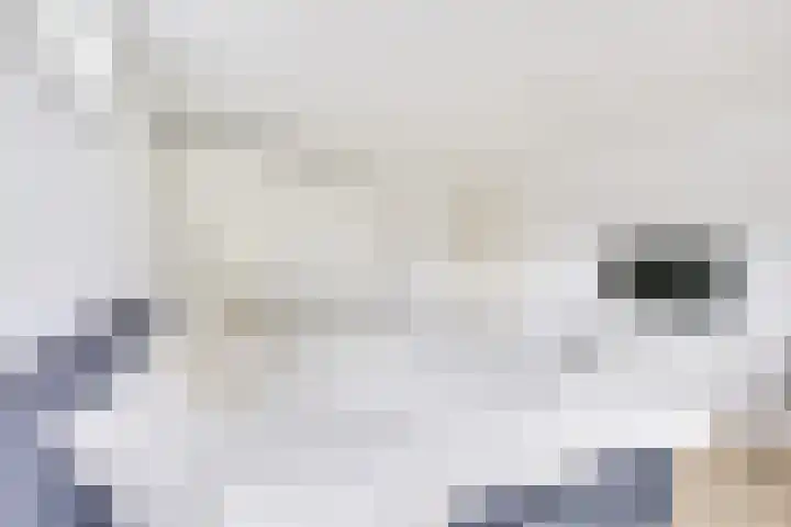 IJskelderlaan 6 c Doorn thumbnail 23