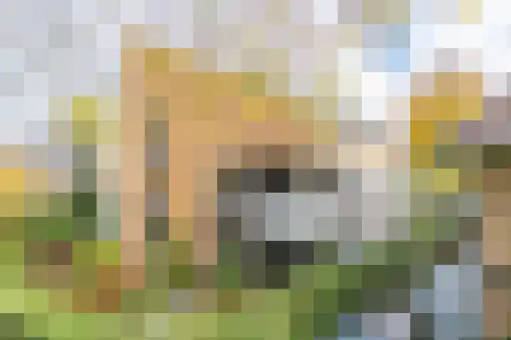 IJskelderlaan 6 c Doorn thumbnail 38