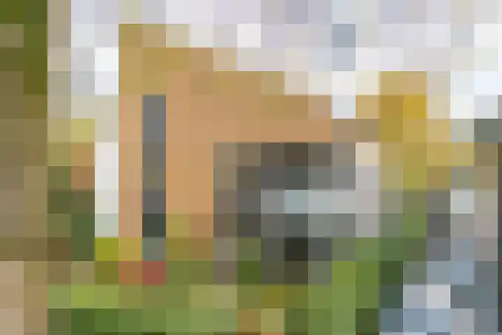 IJskelderlaan 6 c Doorn thumbnail 39