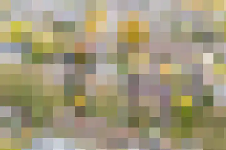 IJskelderlaan 6 c Doorn thumbnail 42