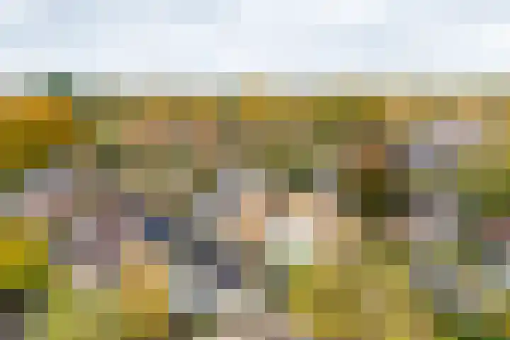 IJskelderlaan 6 c Doorn thumbnail 43