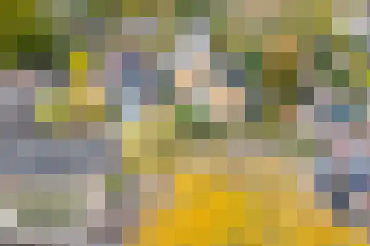 IJskelderlaan 6 c Doorn thumbnail 44