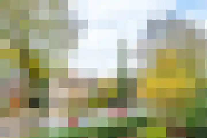 IJskelderlaan 6 c Doorn thumbnail 46