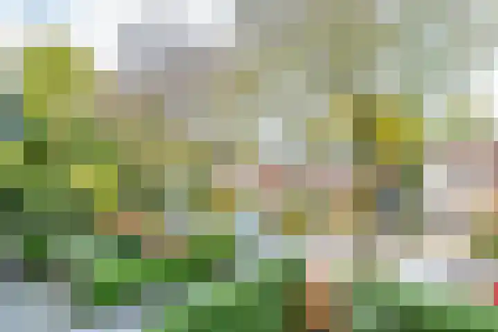 IJskelderlaan 6 c Doorn thumbnail 47