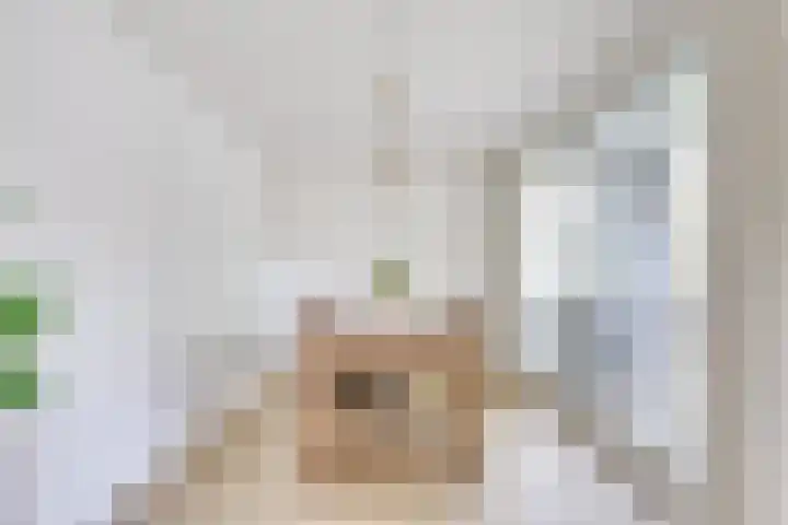 IJskelderlaan 6 c Doorn thumbnail 9