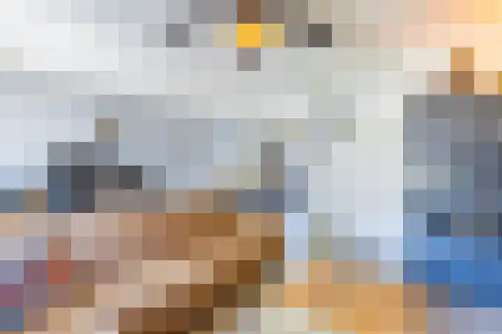 IJskelderstraat 20 Tilburg thumbnail 10