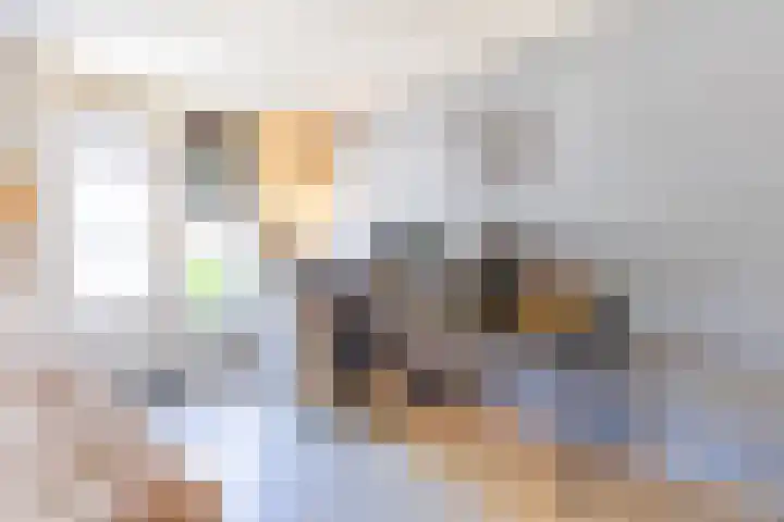 IJskelderstraat 20 Tilburg thumbnail 16