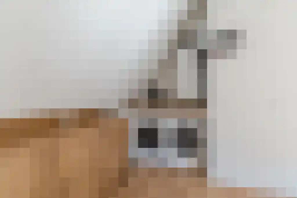 IJskelderstraat 52 Tilburg thumbnail 25