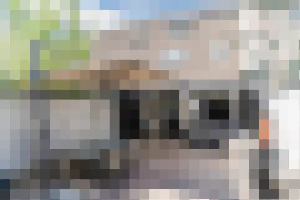 IJskelderstraat 52 Tilburg thumbnail 30