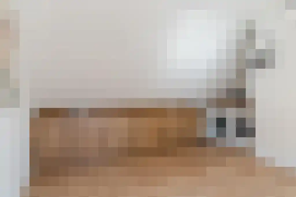 IJskelderstraat 52 Tilburg thumbnail 4