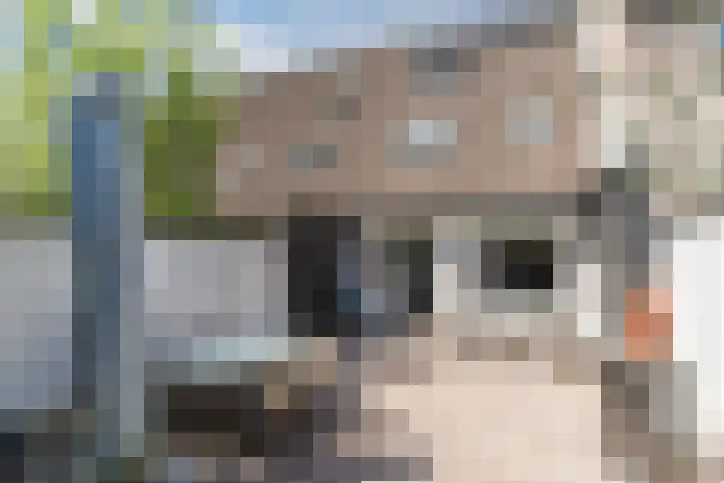 IJskelderstraat 52 Tilburg thumbnail 5