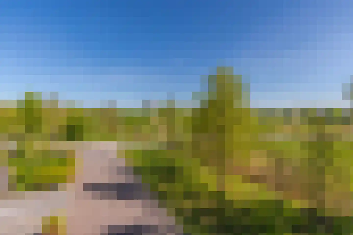 IJskristal 37 Arnhem thumbnail 32