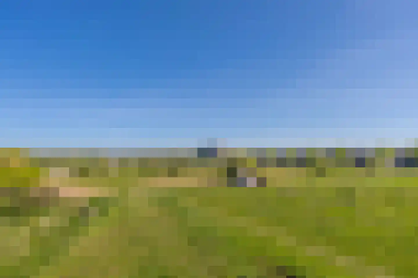IJskristal 37 Arnhem thumbnail 33