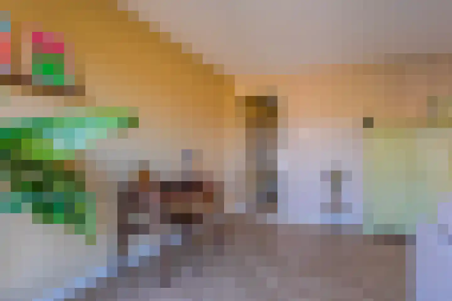 IJskristal 37 Arnhem thumbnail 8