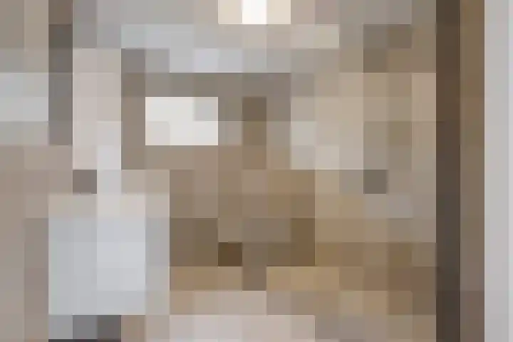 IJskruidlaan 12 Tilburg thumbnail 10