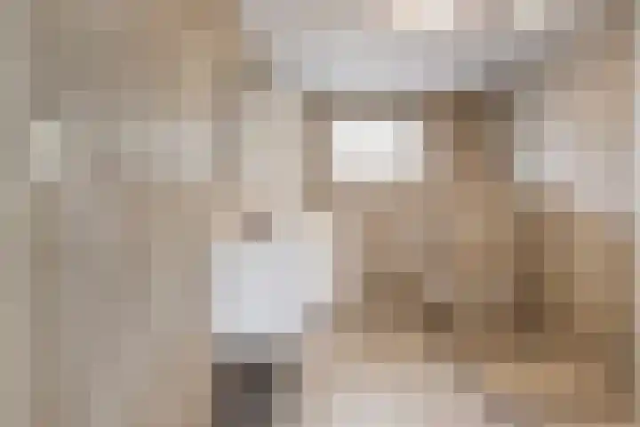 IJskruidlaan 12 Tilburg thumbnail 11