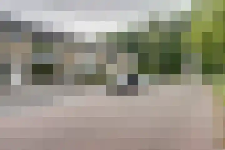 IJskruidlaan 12 Tilburg thumbnail 24