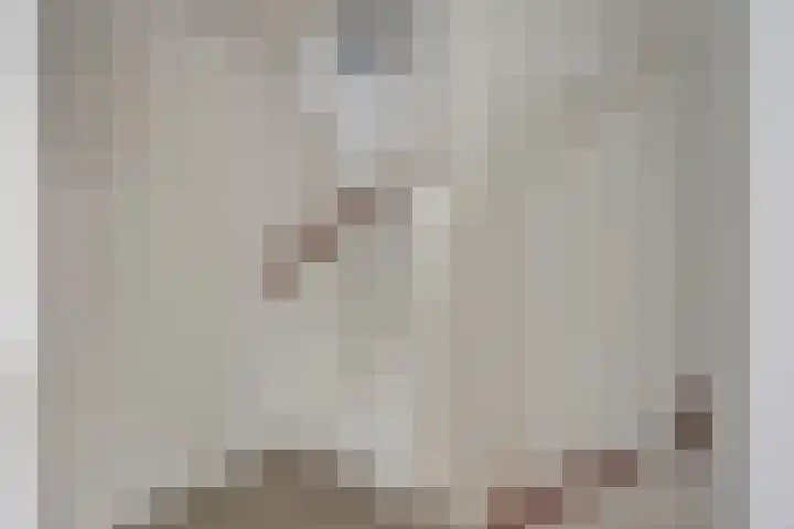IJskruidlaan 12 Tilburg thumbnail 9