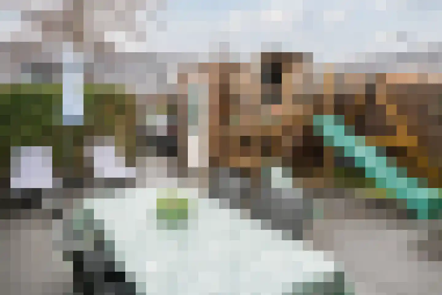 IJsland 13 Noord-Scharwoude thumbnail 30