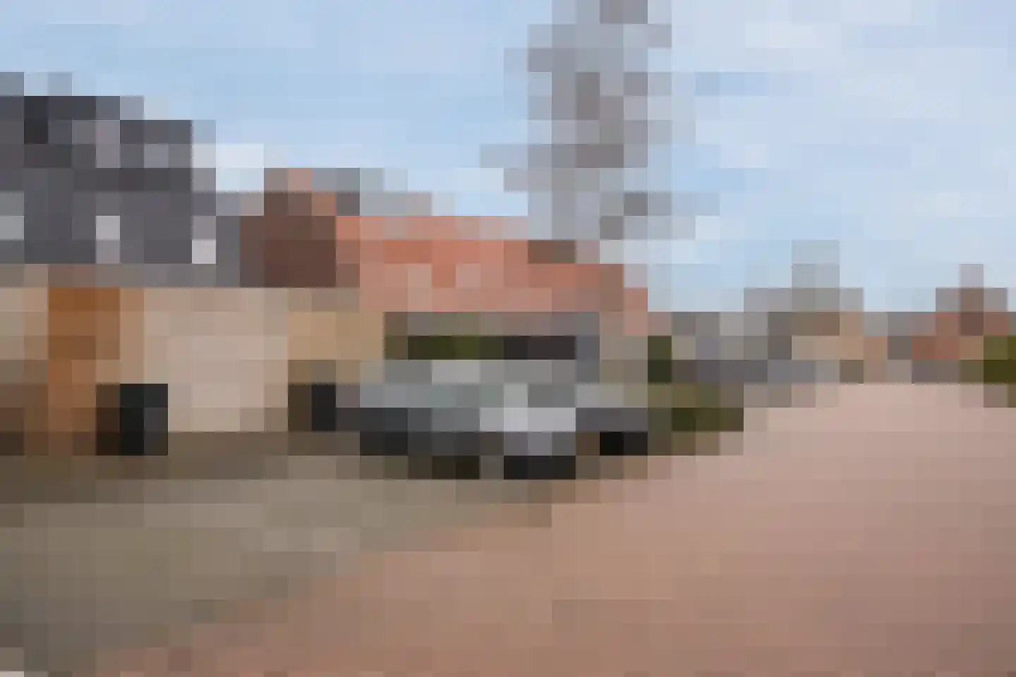 IJsland 13 Noord-Scharwoude thumbnail 33