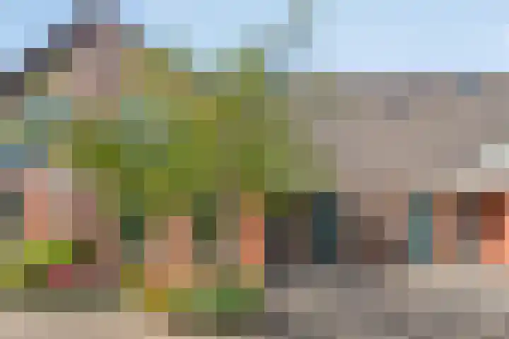 IJslandmos 19 en Bergschenhoek