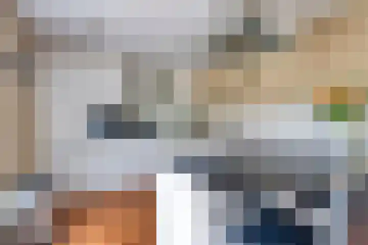 IJslandmos 19 Bergschenhoek thumbnail 11