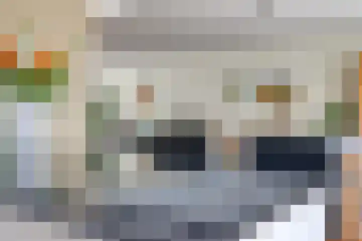 IJslandmos 19 Bergschenhoek thumbnail 12