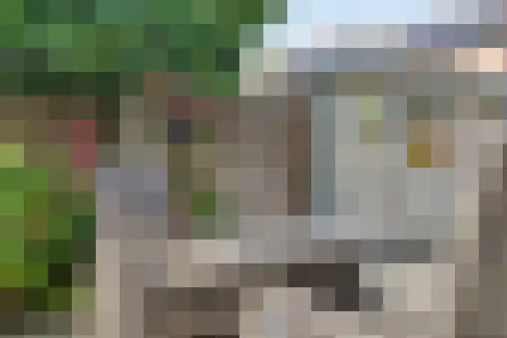 IJslandmos 19 Bergschenhoek thumbnail 14